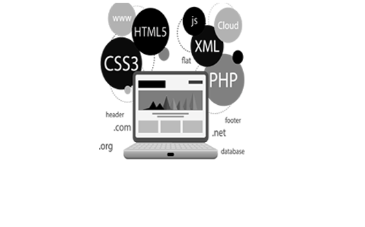 Diseño Profesional